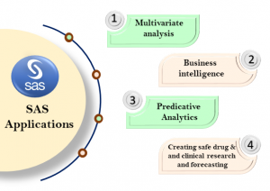 sas-for-data-analytics-training-in-abuja-nigeria